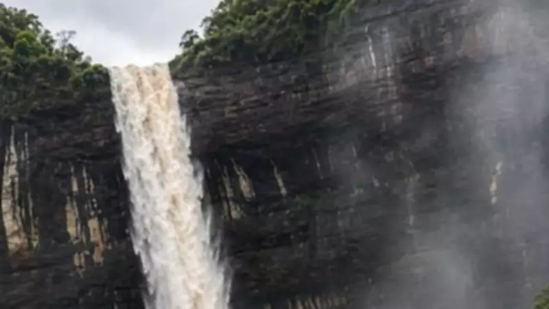 Rescue Pandavkada as eco-tourism spot to check recurring drownings: Environmentalists