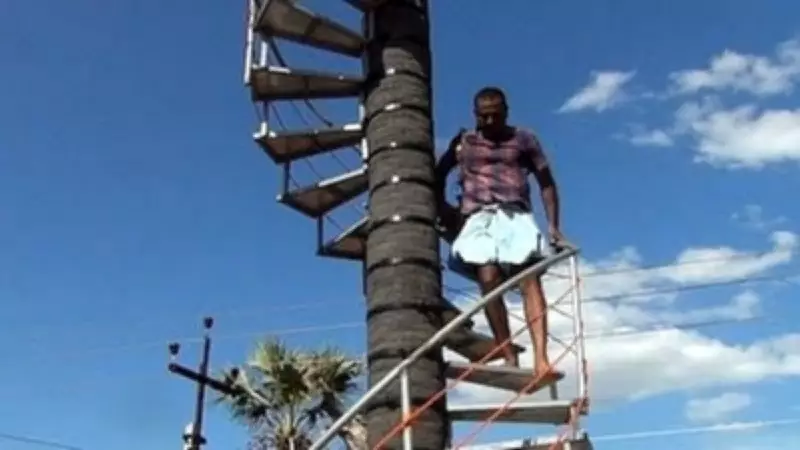 Tamil Nadu Man Builds Iron Staircase Around 55-Foot Palmyra Tree to Beat Labour Shortage