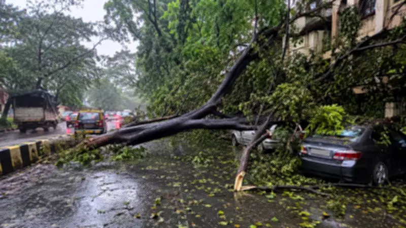 Two Killed in Mumbai Tree Falls During Heavy Rains; Toll at 3 Since June 30