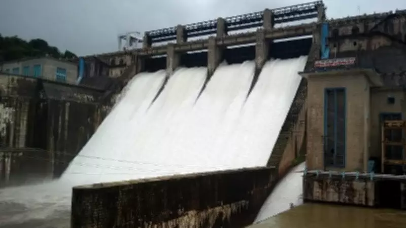 Uncertainty grips Bhadra command area farmers amid weak monsoon
