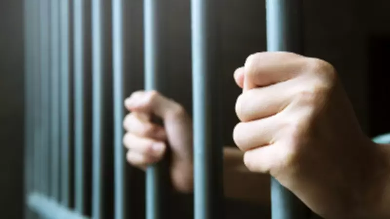 UP court jails Chinese national 11 months for illegal entry into India