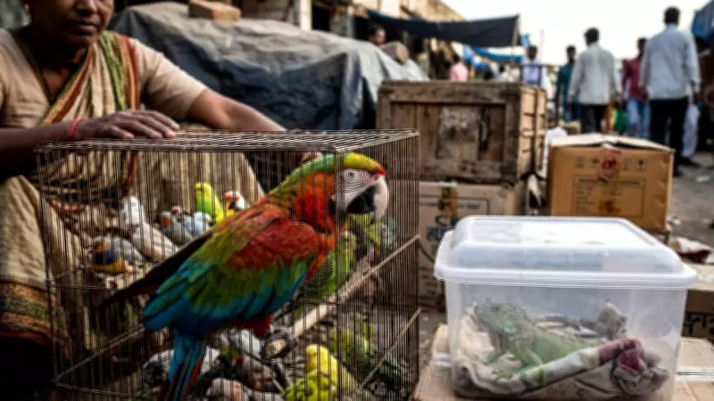 Urgent Policy Reform Needed to Curb India's Exotic Pet Trade, Says Report