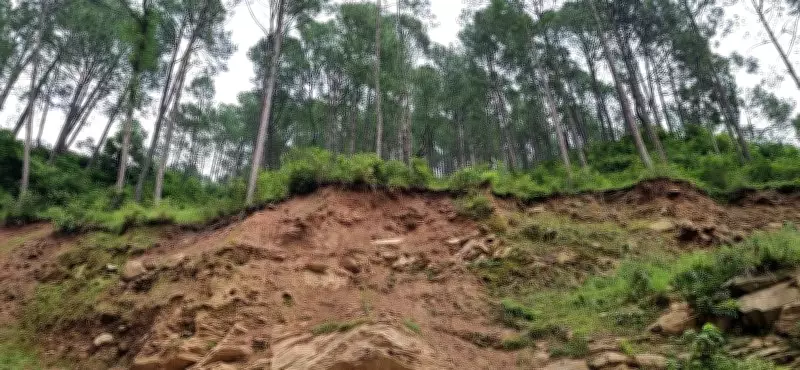 Wayanad tunnel project landslide: Several feared trapped in Kerala