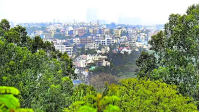 Who Benefits from the Illusion of Rapidly Urbanising India?