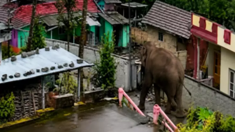 Wild Tusker Enters Karnataka Village in Hassan, Sparks Panic