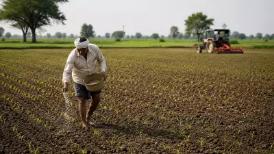 80% Kharif Sowing Completed in District Despite Deficit Monsoon
