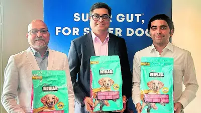 Godrej Pet Care Launches Pet Food Brand in Karnataka Market