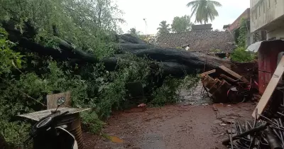 Heavy Rains in Belagavi Cause Rivers to Swell, Alert Issued