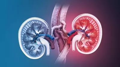 High Temperatures Directly Linked to Kidney Stones, Study Finds
