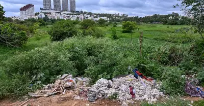 Hosakerehalli Lake Choking Under Garbage and Weeds Due to Neglect