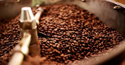 India's Coffee Exports Surge 25% in January-June 2026