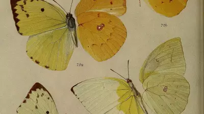 India's Wild Heritage Keepers: Early Meetings at Bhau Daji Lad Museum