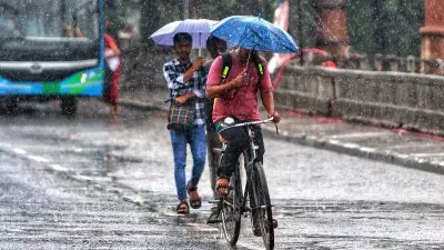 July rains cut Karnataka's rainfall deficit; 8 districts still face shortage