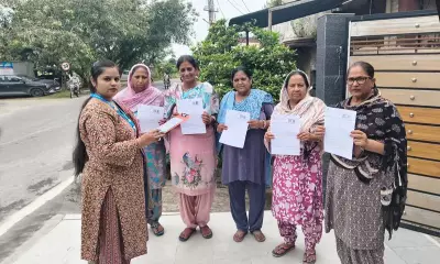 Kapurthala digitises 76,479 enumeration forms under SIR drive