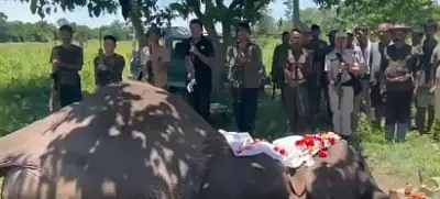 Kaziranga bids adieu to patrol elephant Joymala with guard of honour