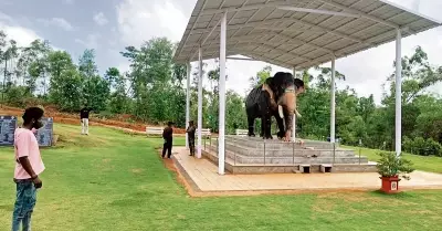Life-Size Sculpture Honors Dasara Elephant Arjuna in Mysuru