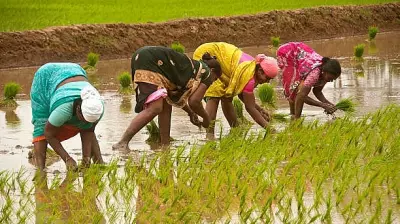 Maharashtra Tables Women Farmers Bill for Legal Recognition