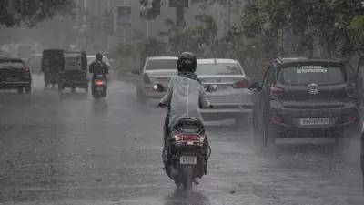 Mumbai Rains: Waterlogging in Palghar, Thane, Raigad; School Holiday Declared, Flights Diverted