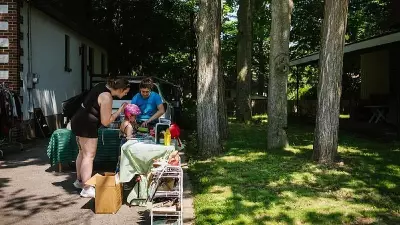 Quebec Town Adopts Rights of Trees, Pioneering Legal Movement