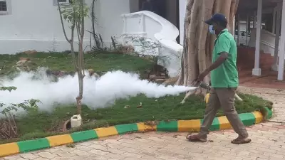 Seasonal Illnesses Rise: 29 Dengue, 16 Chikungunya Cases in District