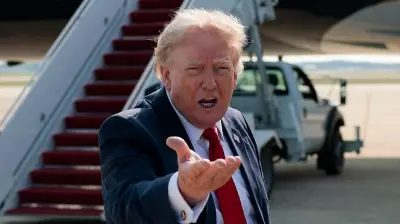 Trump says he doesn't get involved, everyone profits as stock market rises