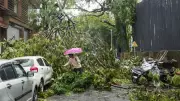 8 Dead in Mumbai Rain Incidents as MMR Records 1,000 mm Rain