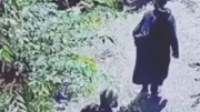 CCTV Captures Two LeT Terrorists in Shopian Orchard as Operation Enters Second Day