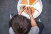 Dead Lizard Found in Mid-Day Meal at Delhi Government School; Probe Ordered
