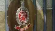 ED Probes TMC Bank Accounts Over Suspect Rs 150 Crore Funds via Aviation Firms