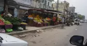 HC: Keeping Footpaths Encroachment-Free Ludhiana Civic Body's Duty