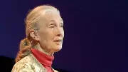 Jane Goodall Quote: On Being a Difficult Woman