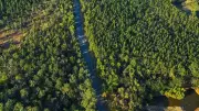 Jharkhand: India's 'Land of Forest' with Rich Wildlife and Green Cover