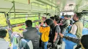 Karnataka nods to 40% increase in safari trips at Bandipur, Nagarahole