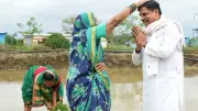 MP CM Mohan Yadav Plants Paddy with Farmers in Seoni, Announces Rs 494 Crore Projects