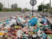 NGT Imposes Rs 50,000 Fine on Amritsar Municipal Corporation for Waste Compliance Delay