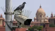 Pigeon droppings blind Delhi police CCTV cameras, spikes deployed