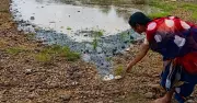 Rain in Western Ghats Brings Cheer to North Interior Karnataka Farmers