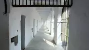 Tihar Jail to Reply on Terror Accused Van Dyke's 'American Diet' Plea